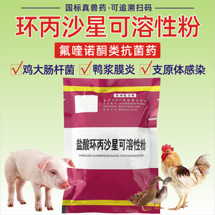 �Fș�}��h��ɳ�Ƿ��ișţș���uș��ș���c�U��ɳ�T�Ͼ������Է�