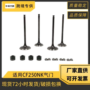 Motorcycle Valve Oil Seal Suitable for Cf250 Cf250Nk Cf300 Cf300Nk Sr250 Valve Lock Clip
