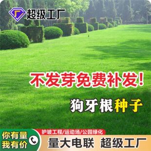 ���l�������N�Ӱ�Ľ����ю���Ó�������o�¾G�����̲�ƺ�N��