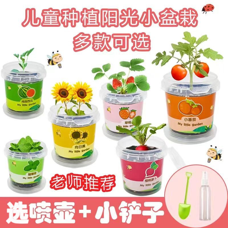 Children Plant Small Potted Plants, Sunflowers, Strawberry Flower Seeds, and Observe the Growth of Plants and Vegetable Seeds