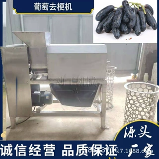 厂家定制葡萄去梗破碎一体机 商用桑葚摘梗设备 工业长玫瑰去梗机