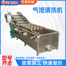 果蔬气泡清洗机多功能大姜清洗机连续式高压喷淋药材气泡清洗机