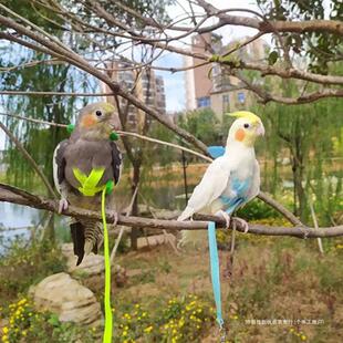 Parrot Flight Rope, Traction Rope, Flying Rope, Traction Rope, Outdoor Rope, Flight Harness, Bird Walking Rope, Camel Yellow