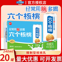 六个核桃精制型核桃乳240ml*20罐整箱批发植物蛋白饮料正品