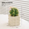 Glue thorn cactus bubble square pot
