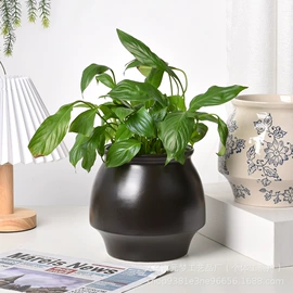 花盆容器;花盆装饰;陶瓷工艺品