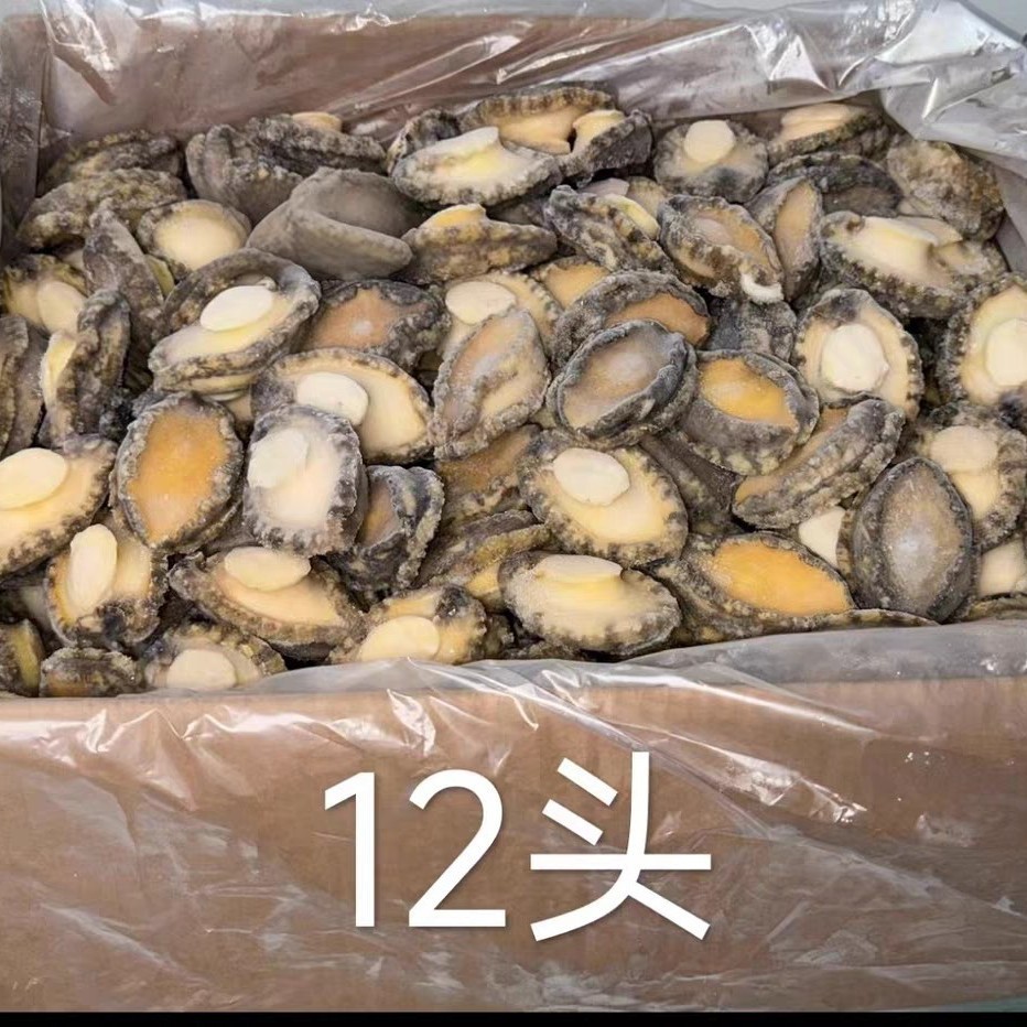 新鲜冷冻鲍鱼肉500g/袋熟冻鲍鱼肉珍珠带壳黄金鲍佛跳墙捞饭商用