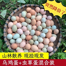 �r��ɢ�B���u�����r�G�����u������b��ͯ�I�B���������l����