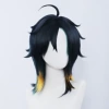 Gini wig