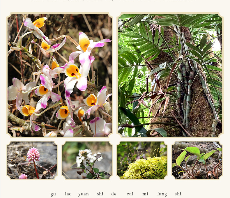 O1CN01XclgdB1PSJ9SV6NL7_!!2213433371839-0-cib.jpg?__r__=1665814160180