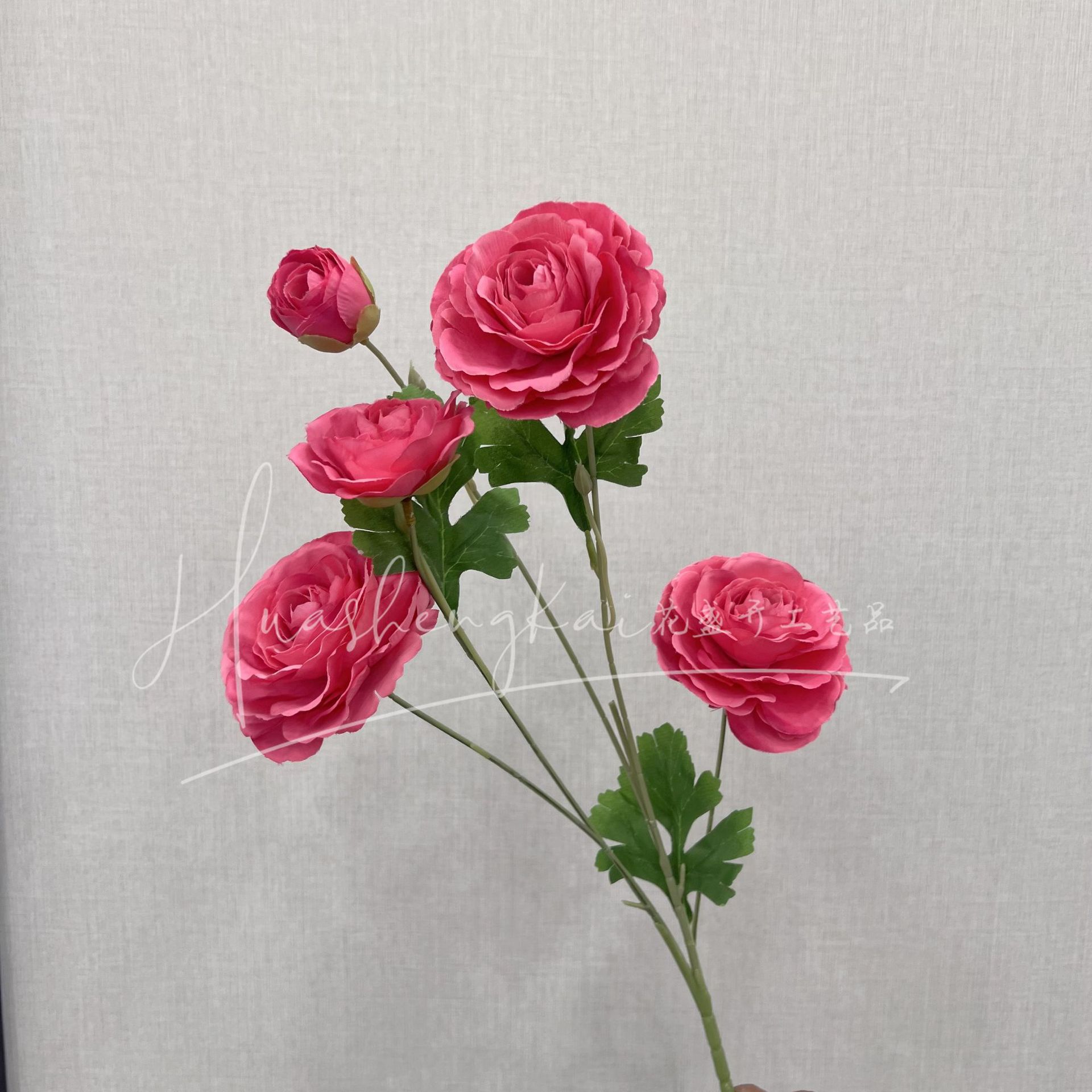 로즈 레드