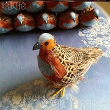 ��ý��ģ�������¿��걾��ýģ�Ͱڼ��񼦱걾���ݵ���