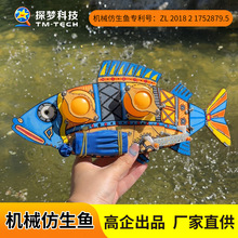 綯е߿ƼСѧDIYѧʵĽ̾