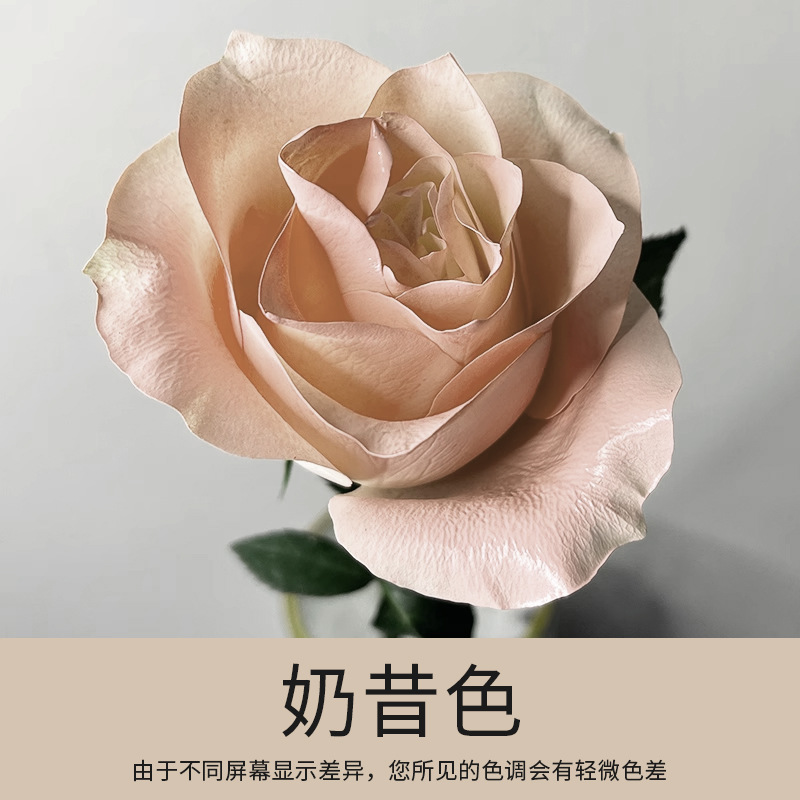 Material de embalaje de flores frescas Agente de tinción en aerosol de flores secas Salsa de ciruela negra Pintura en aerosol de flores Pintura en aerosol de flores Agente de color de flores