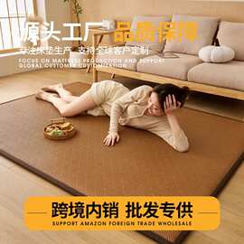 源头厂家新款凉席地垫睡觉打地铺神器榻榻米床垫爬爬垫家用藤席垫