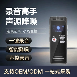 新品OEM定制外置插卡录音器mp3播放器会议记录数码录音笔专业