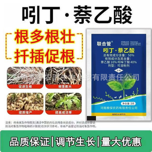 50%�Ŷ��������rșֲ�����L�{����Ǥ��Һˮ���������ᶡ��������