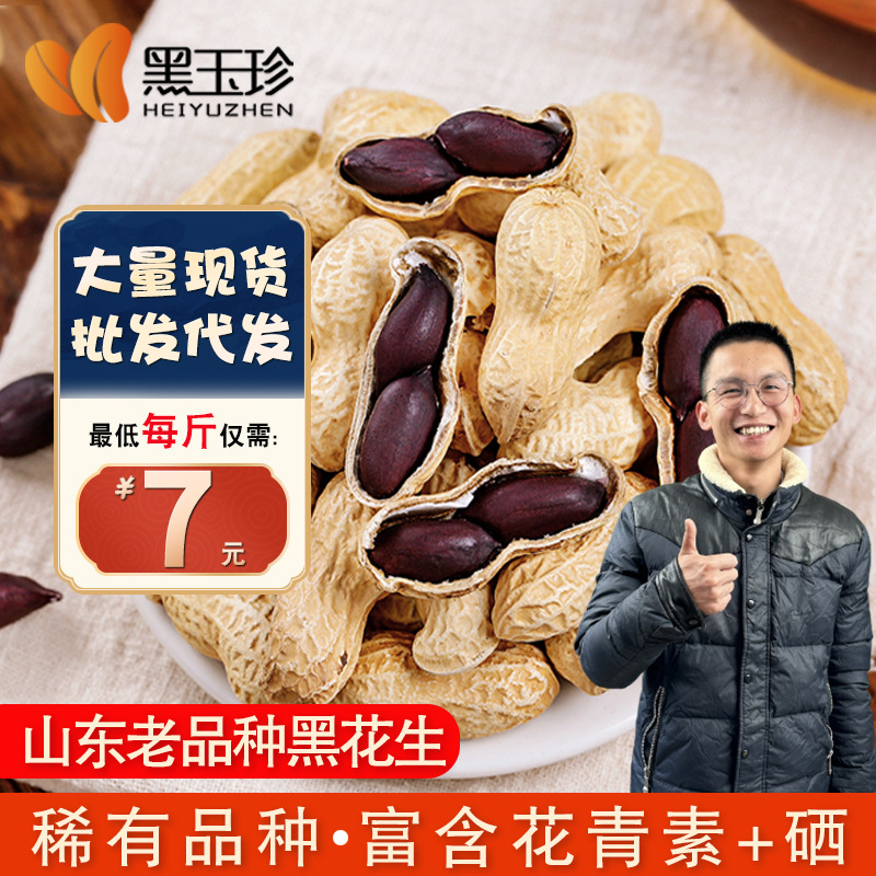 2025新货黑玉珍正宗山东黑花生 富硒带壳生农家种 产地批发可种植