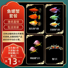 ���R�~�^�p�~С�͵�ˮ���B�Ꭷ�~�t�G�����~С��ȸ�~�~��