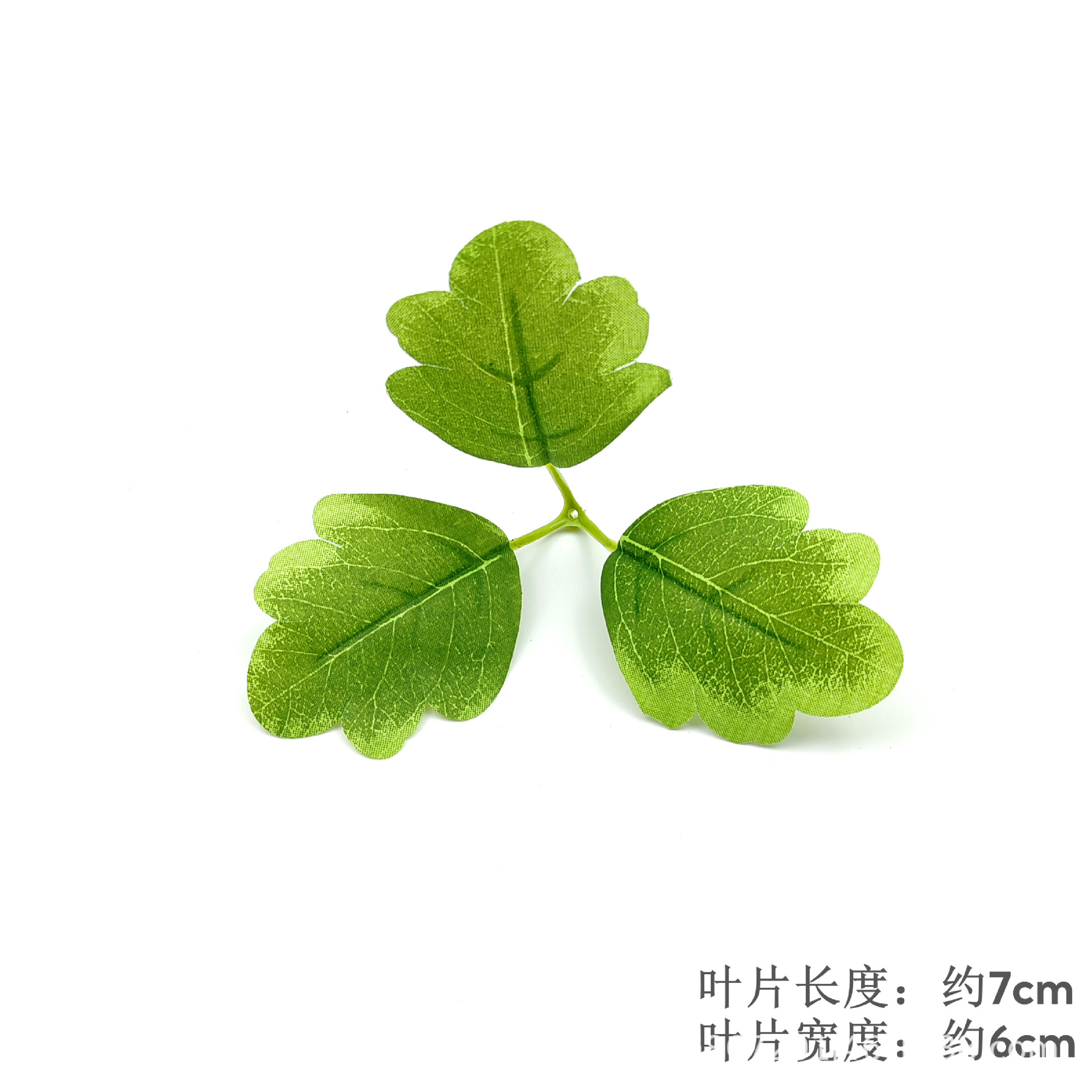 Chrysanthemum Leaf - Style 3