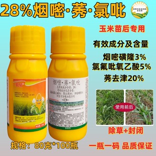 28%����ݬȥ���ȷ�����Ԫ�������������݄��������l