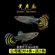 ��ȸ�~С�~�Ꭷ�~ȫ�N�������B�^�p�~С�͵�ˮ���R�~����~