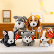 ɐſſС˯XރͯżնYëq