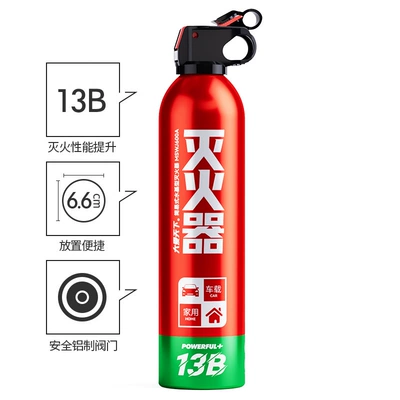 Car Fire Extinguisher Portable: Vehicle fire extinguisher - great-love-of-the-world-600ml-13b