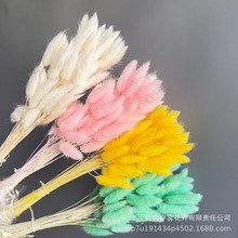 ��β���������滨�ɻ�diy���ļҾ��b廨���W�L�羳���S���l