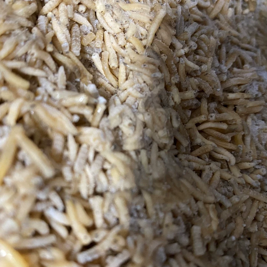 Муха/замороженная/быстрозамороженная/минус 40 градусов