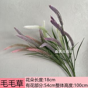 ��β�ݻ���ļҾӘӰ��g��c�����OӋ�廨�b��þGֲ�߷���