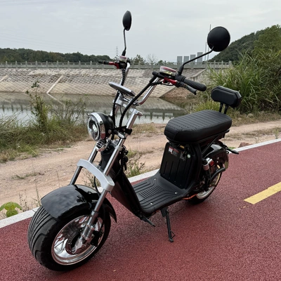 Electric Motorcycle, Ha Lei Auto Parts and Accessories