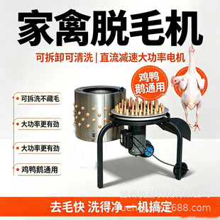 �羳���P�Óë�C���ʽ�ԄӰ�ë�C����Óë�C�u���ZÓë�C���S