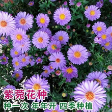 ɽҷNԷߎXҾջN޸׻ͺN