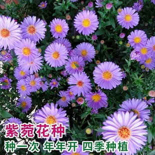 ��ɽ���ҷN����Է�ߎX���Ҿջ��N���޸������׻���ͺ����N����