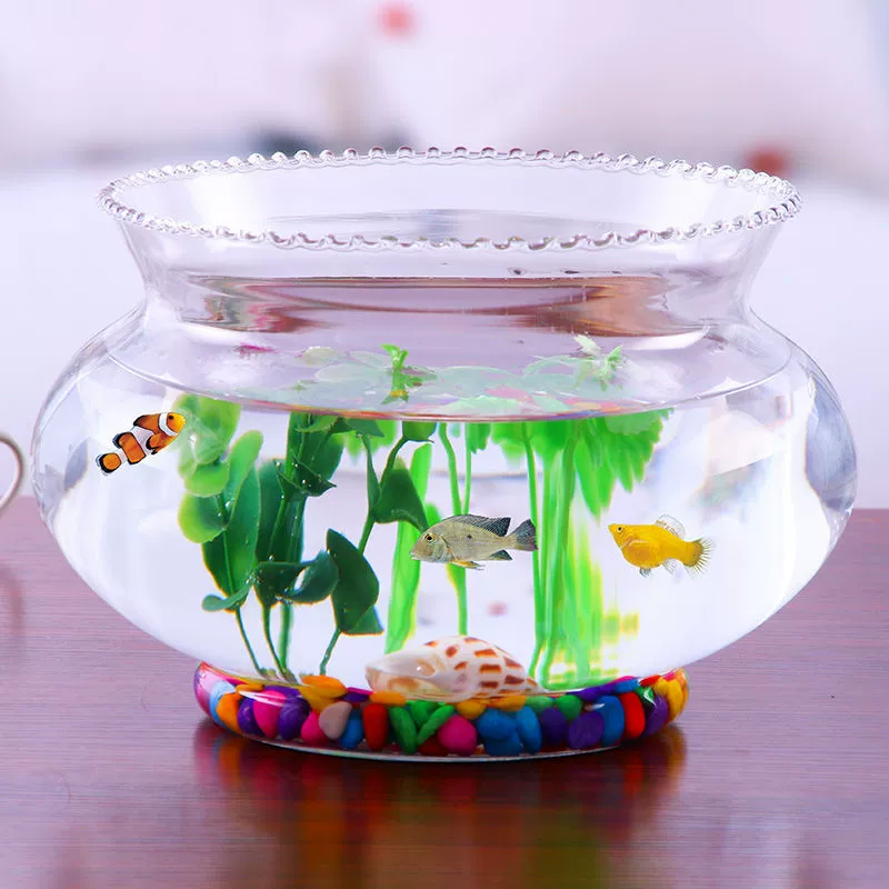 Кружевной Аквариум Черепаха аквариум круглый стеклянный маленький Офис Гостиная Рабочий стол золотой Аквариум Черепаха раковина ведро аквариум
