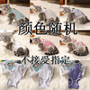 Cat's sterilization service postpartum weaning surgical clothes to prevent licking small dogs and cat universal cat clothes pet singble clothing