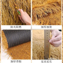 ��é�ݸ�������ë����픵����r�Ҙ����^��ͤͥԺ��̺ʽ�b���