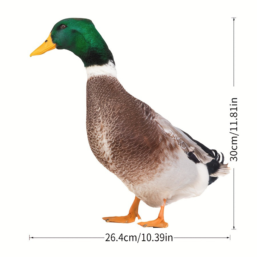 30*26.4