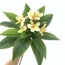 仿真鸡蛋花 仿真花假花绢花家居客厅插花装饰售楼处装饰鸡蛋花树