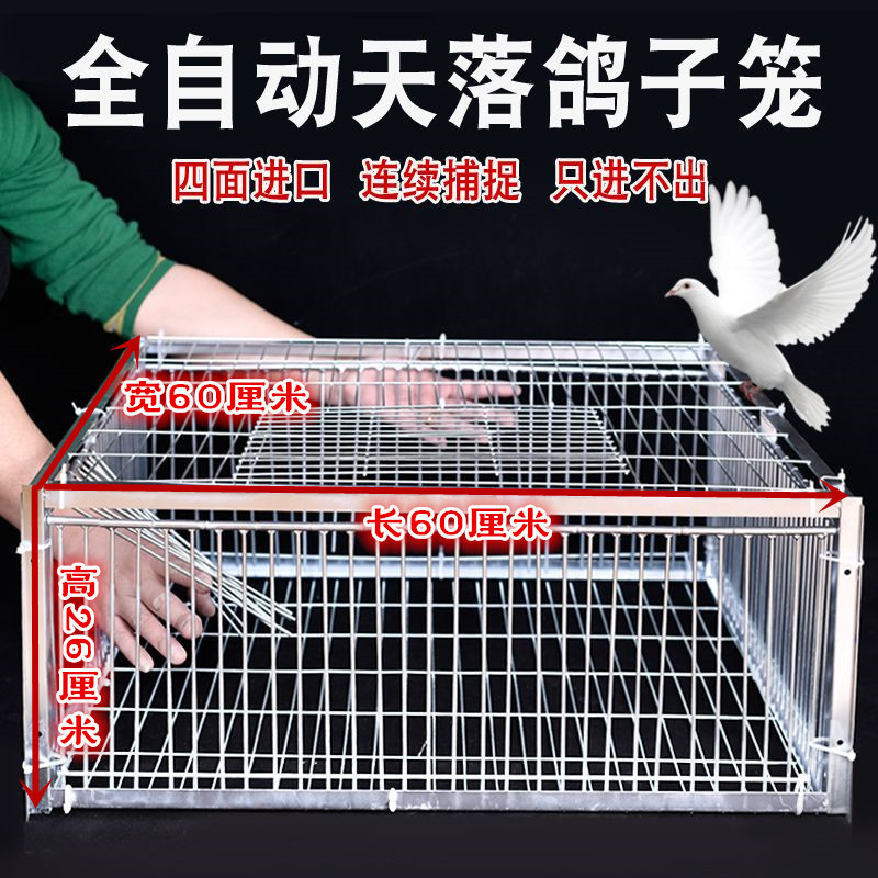 新款加密只进不出鸽子笼天落笼户外撞门笼全自动收鸽笼捕鸽子神器|undefined
