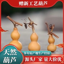 ��Ʒ�����С���J ��������������J DIYС�����Ȼ���J�����^