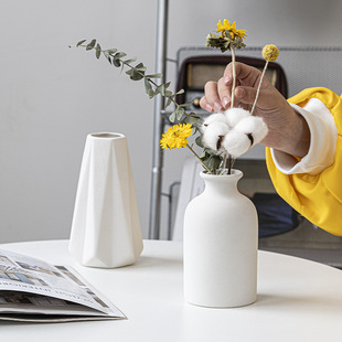 Longli Porcelain Classic European Style Modern Creative Home Ceramic Vase Ornaments Decoration Flower-arranging Dried Flower Lubao Mini Flower