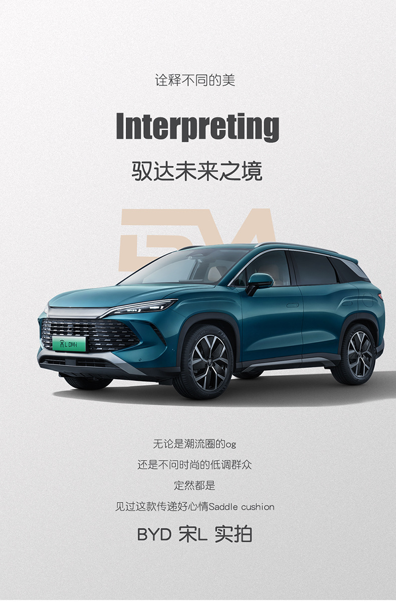 BYD Song LDMI Special Seat Cover Semi-enclosed Breathable Perforated Fur Cushion Song ldmi Four Seasons Seat Cover