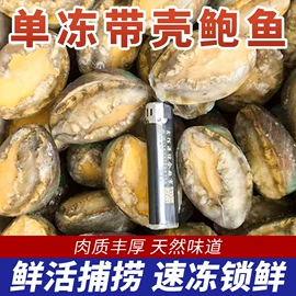 贝类;水产干货类