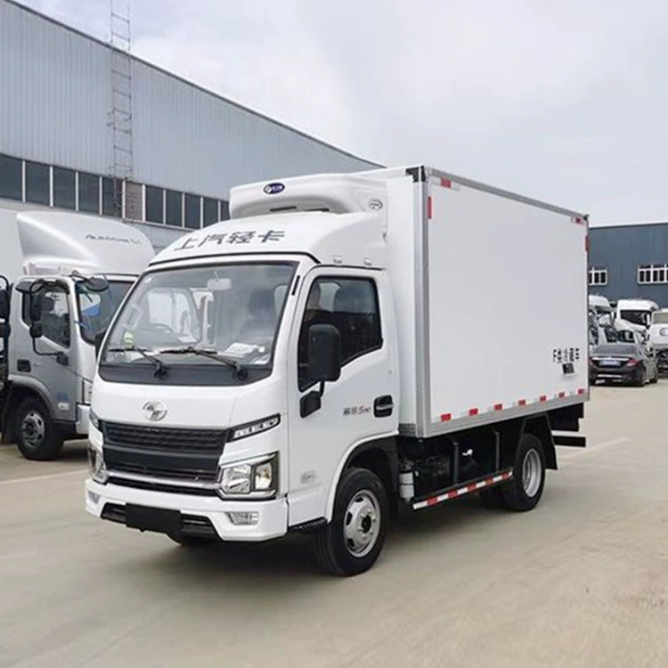 Рефрижератор Dongfeng D9 2,9 м для вакцин, низкотемпературный фургон, гарантия качества