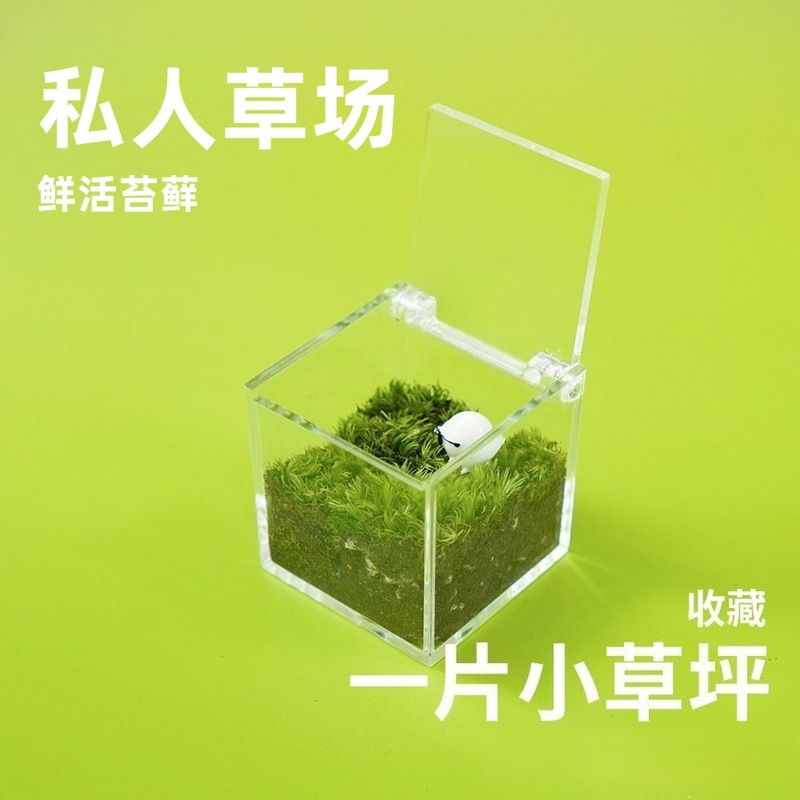 一面の芝生のミニ芝生のコケの箱の事務室のデスクトップの緑は鉢植えの創意のテーブルを植えて結びの微景観を癒します。|undefined