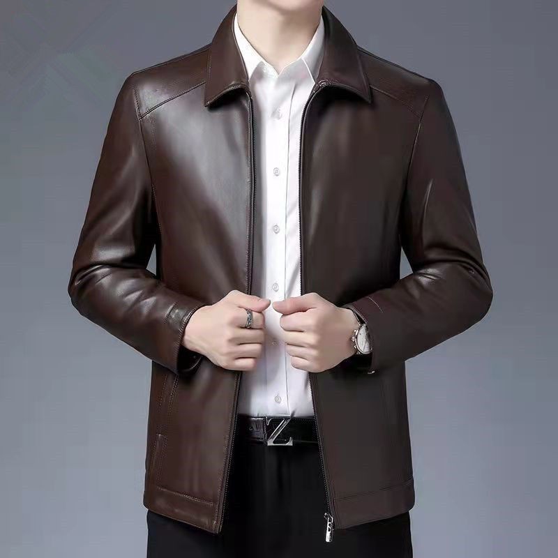 브라운 라펠(봄, 가을)