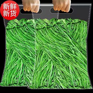 ������؛ؕ�˸�̦�ɻ�����rÓˮ�߲˷��n�S��푲�ë�؏Sһ�����l