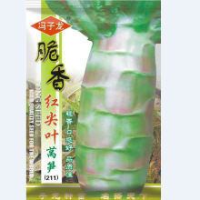 �����N�I�߲˷N�Ӵ���t���~�n�S�N�ӻ�����@¶���̨����ͥԺ